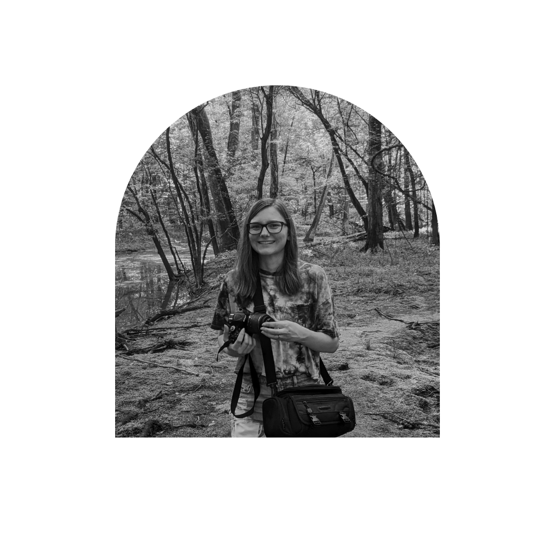 In Conversation with Harris PlesKovitch